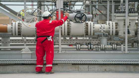 In mine-infested sea, Romania aims to cut Russia gas reliance