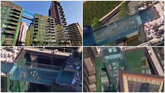 People swim in world's 1st transparent pool built between 2 skyscrapers in video