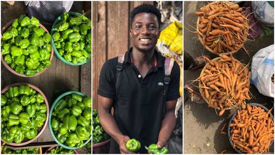 Job no dey but we'll survive - Aspiring journalist who sells vegetables at Agbogbloshie market says