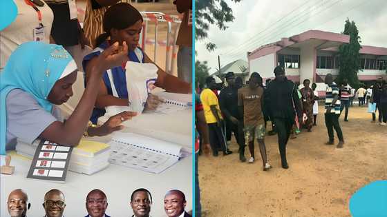 NPP primaries: Police arrest two delegates for taking photos of ballots after voting, video trends