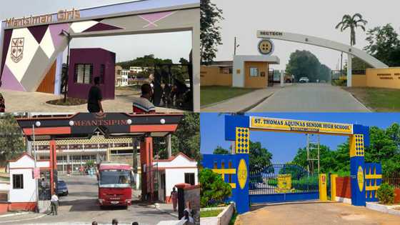 Triumphant entry: ManSyte, Aquinas, 8 other senior high schools in Ghana with the most beautiful entrances