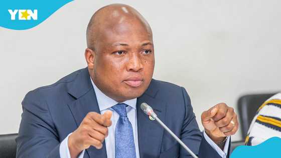 Mahama’s ORAL team won’t duplicate effort of state institutions, Ablakwa explains members work for free