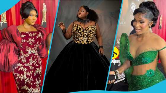 Roselyn Ngissah courts attention with her classy gown at the 2025 EMY Africa Awards