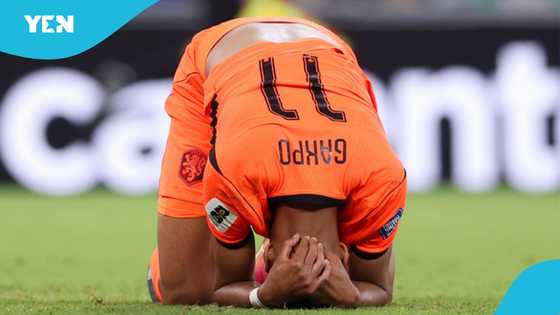 Here's why Cody Gakpo was in tears after scoring against Morocco