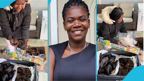 NDA ships nuomnam and koobi to the US amid deportations, encourages Ghanaians to buy