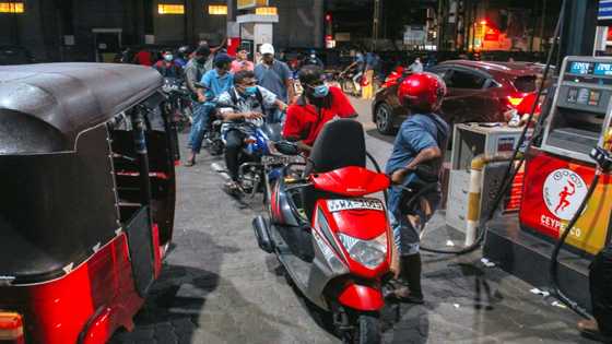 Sri Lanka schools, govt offices to shut as transport grinds to halt