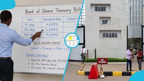 Ghanaian explains potential returns on GH₵50,000 Treasury bills using Bank of Ghana rates
