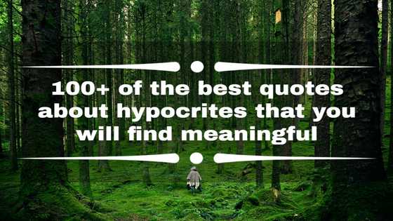 100+ of the best quotes about hypocrites that you will find meaningful