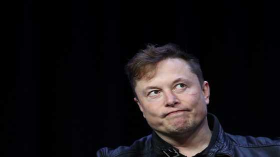Twitter suspends accounts of journalists covering Musk