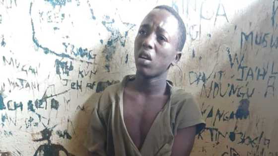 Jailbreak: man emerges from hideout to see newborn son, captured by police