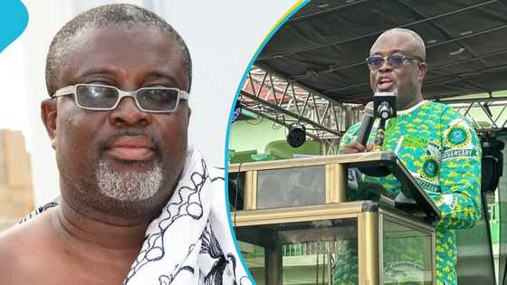 NDC bigwig from Central Region in trouble over problematic use of academic title