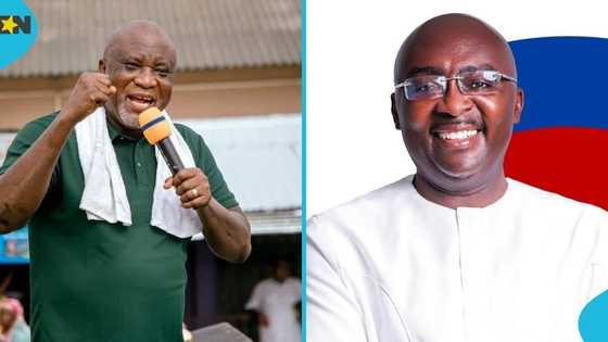 "Bawumia's re-election means NPP will stay in opposition for long": Hopeson Adorye vows