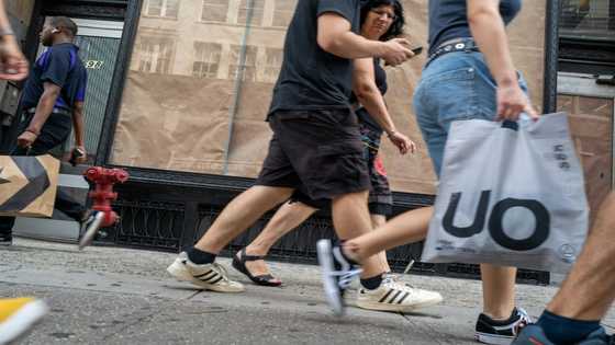 Markets sink as US jobs data fan rate hike bets