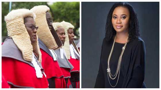 No thank you: Former EC boss rejects calls to be made Supreme Court judge