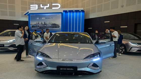 BYD says to build second EU factory despite EV slowdown