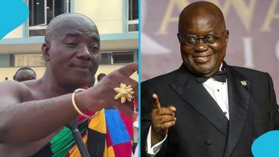 Appiah Stadium regrets criticising Akufo-Addo, other political opponents, apologises in video