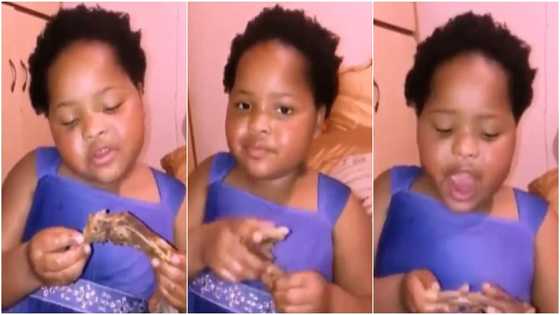 Massive reactions as little girl expresses love to cow as she eats animal meat