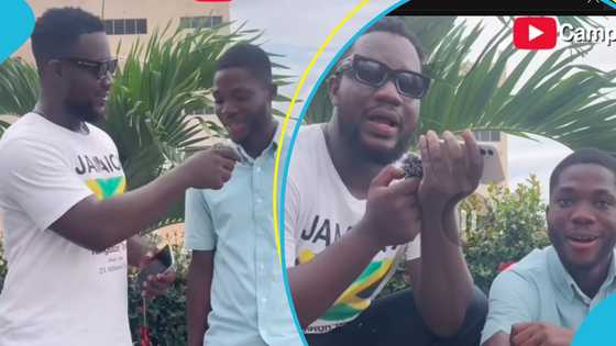 KsTU student breaks down as supposed girlfriend denies ever dating him during loyalty test with Sharkboy
