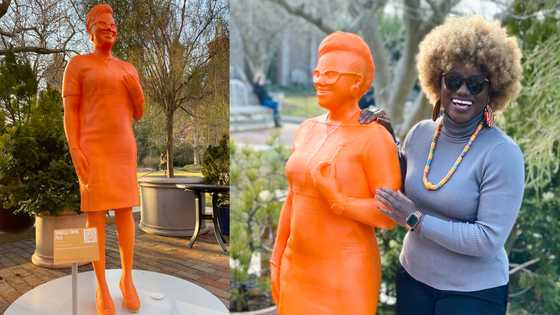 Statue raised in honour of GH lady based in the US for her contribution to Science