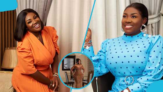 Lady begs Emelia Brobbey for the classy gown she wore for her breathtaking birthday photoshoot on Facebook