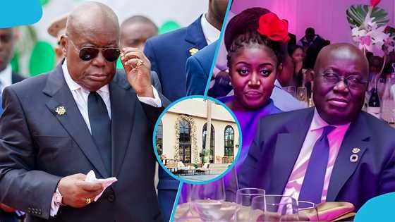 Social media reacts as Akufo-Addo's daughter’s restaurant's temporary closure sparks speculation