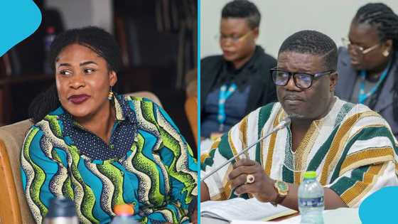 Ebi Bright’s lovely 2025 birthday message to Dafeamekpor surfaces