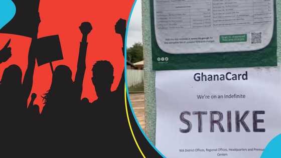 NIA goes on indefinite strike, applicants left stranded at centres