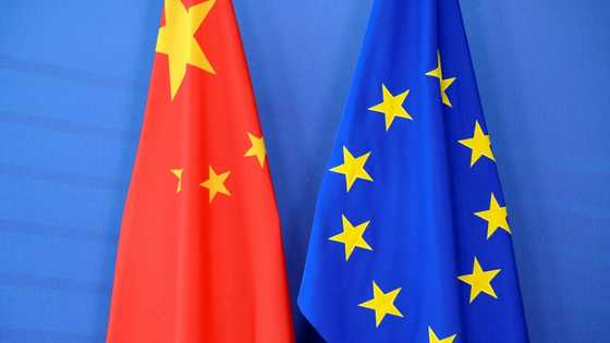 EU business lobby head says China rare earths snag persists