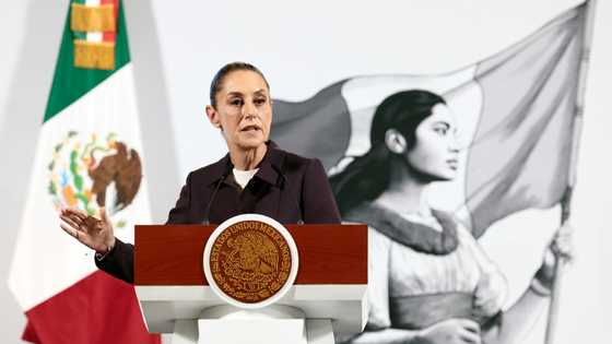 No 'eye for an eye' approach to US tariffs: Mexico