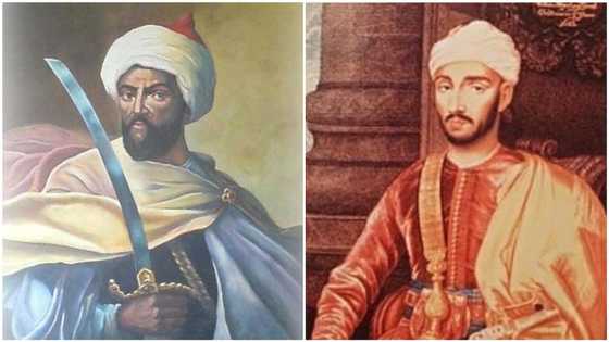 How did he cater to all of them? - This African sultan had 888 children