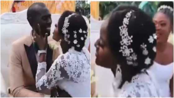 Shy groom turns down bride's attempt to kiss him; social media reacts