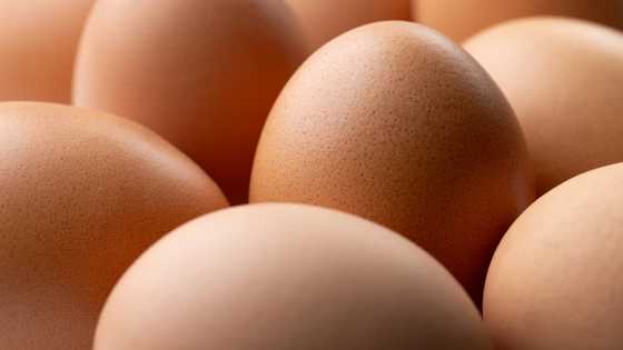 Lay off our eggs market, French producers tell Ukraine