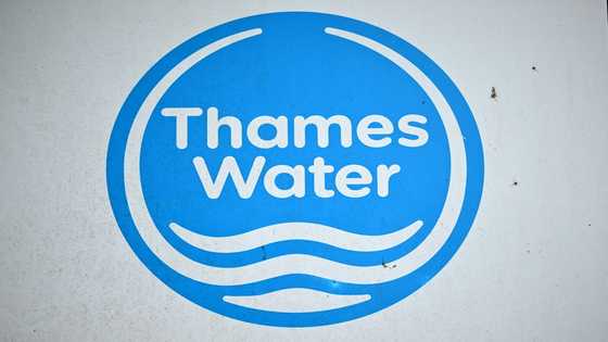 UK court backs £3 bn loan for indebted Thames Water