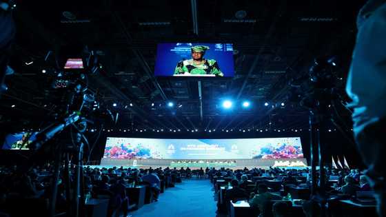 India, US at loggerheads over WTO reform at Abu Dhabi talks