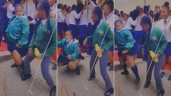 Oh snap: Peeps raise their hands in the air for booty popping pupils