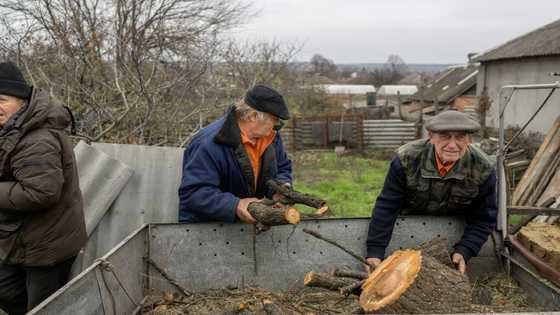 War-weary Ukraine residents chop wood to 'survive' winter