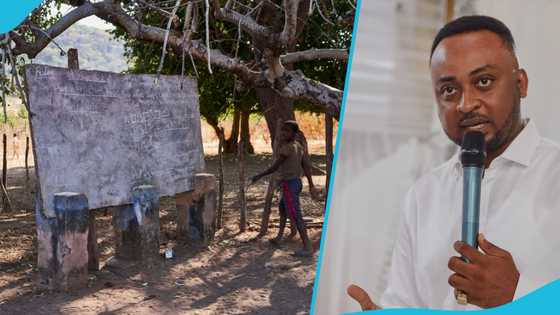 NPP MP makes controversial statement, says it's better to learn under trees than not be educated