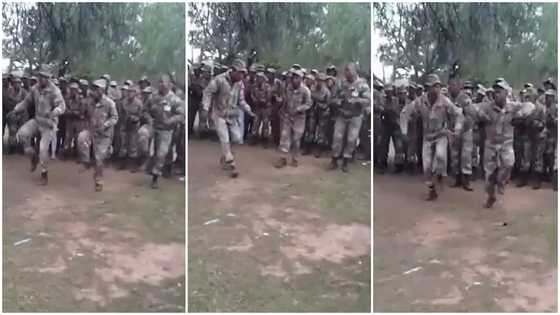 Strong soldiers in military uniform gather under tree, dance and shake bodies to native song in viral video