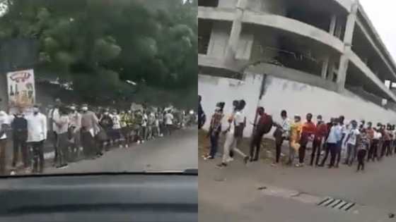 Man shouts in video as car is unable to find the end of long queue of army applicants