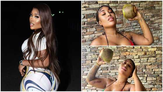 Fantana rocks swimwear in Ghana flag colours, pours coconut water on her, photos cause frenzy