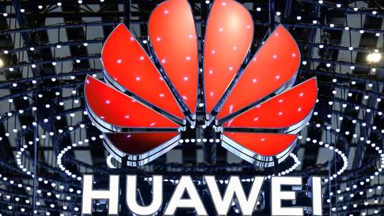 Chinese tech giant Huawei says profits fell 28% last year