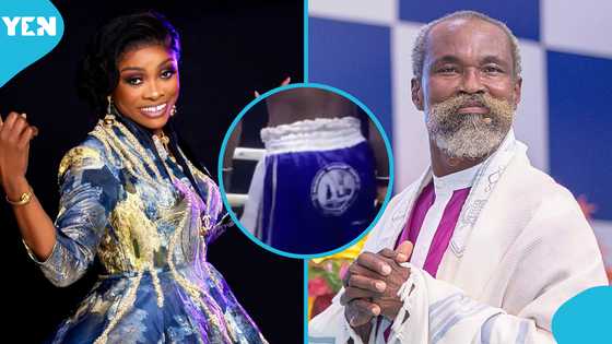 Diana Asamoah taunts boxer who wore Adom Kyei-Duah’s sticker