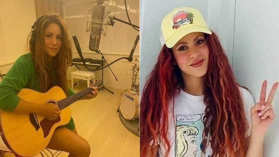 'Waka Waka' singer Shakira attacked by 2 wild pigs in Barcelona.