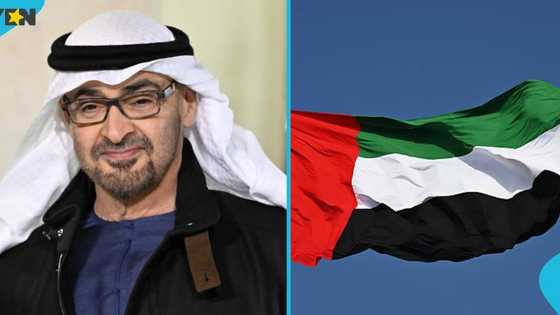 UAE lists document mistakes that could get foreigners arrested at entry points