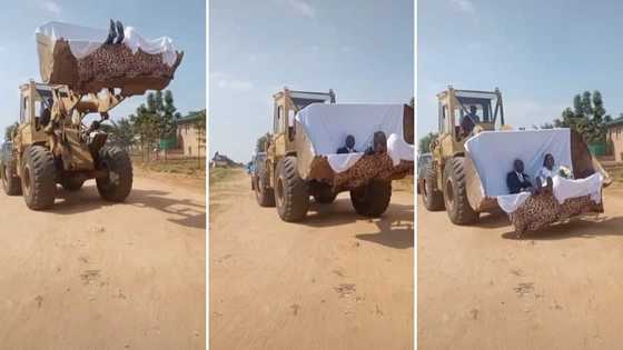 Newlywed couple make grand entrance in excavator in video - It's really unique