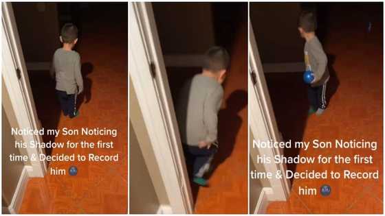 Video shows funny moment little boy screamed in fear & tried to flee on seeing his shadow for the 1st time
