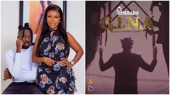 Delay 'chops fans' from Netizens as she promotes Amerado's 'Gina' album on her social media page