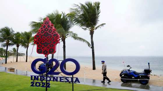 G20 ministers meet in Bali with Ukraine top of agenda