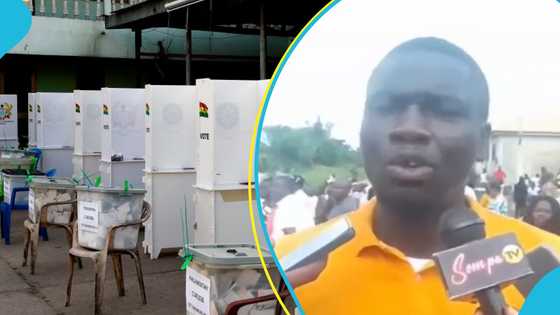 NPP Presidential Primaries: Confusion at Assin Central as Bawumia’s agent accused of disrupting process