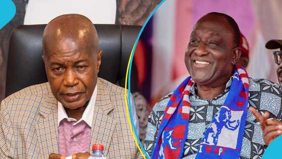 NPP National Chairman insists that Alan Kyerematen is not angry with party after recent visit